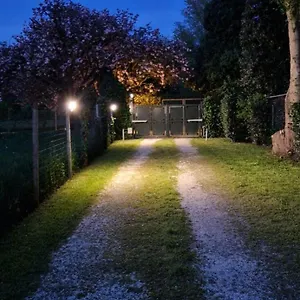 Apartment La Casina, Ferrara
